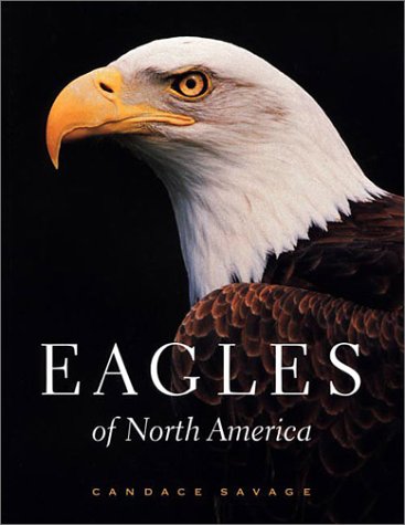 Eagles of North America (Paperback)