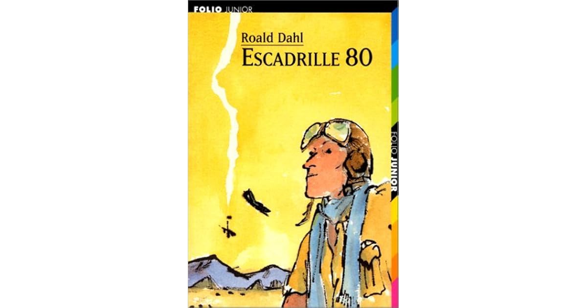 Escadrille 80 Résumé Chapitre Par Chapitre