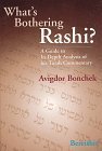What's Bothering Rashi? - Bereishis (What's Bothering Rashi Series)
