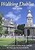 Walking Dublin by Pat Liddy