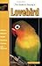 The Guide to Owning a Lovebird
