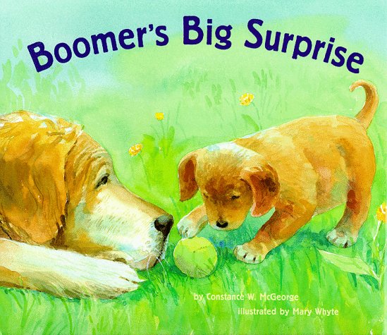 Boomer's Big Surprise (Boomer, BOOM)