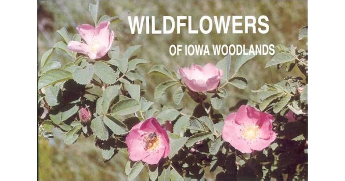 Wildflowers Of Iowa Woodlands by Sylvan T. Runkel