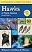 A Field Guide to Hawks of N...
