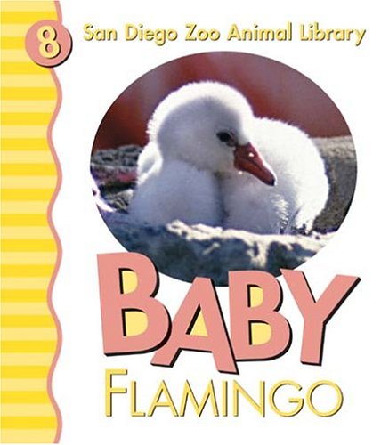 Baby Flamingo (San Diego Zoo Animal Library, 8)