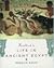 The Handbook to Life in Ancient Egypt
