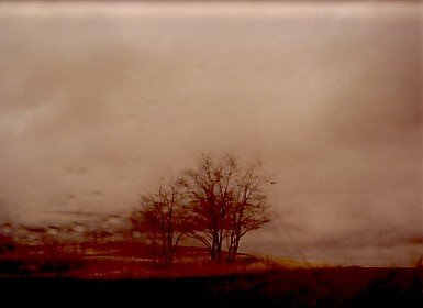 Roaming: Landscape Photographs 1994-2004 (Paperback)