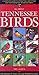 All about Tennessee Birds