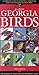 All About Georgia Birds
