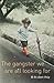 The Gangster We Are All Looking for by Lê Thi Diem Thúy
