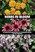 Herbs in Bloom: A Guide to Growing Herbs As Ornamental Plants