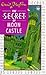 The Secret of Moon Castle by Enid Blyton The Secret of Moon Castle by Enid Blyton