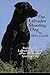 The Labrador Shooting Dog: Training the Labrador Retriever as an All-Around Sporting Dog