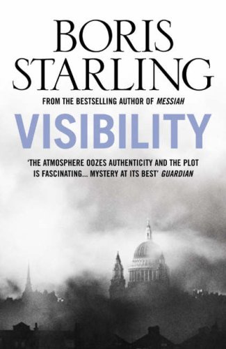 Visibility (Paperback)