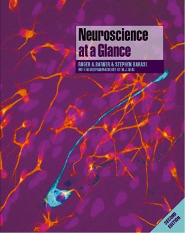 Neuroscience at a Glance (Paperback)