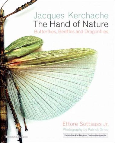The Hand of Nature: Butterflies, Beetles, and Dragonflies (Hardcover)