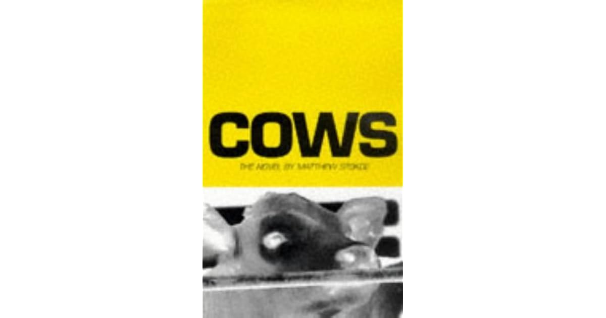 Cows by Matthew Stokoe