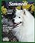 Samoyeds: Everything About Purchase, Care, Nutrition, Grooming, Behavior, and Training (Barron's Complete Pet Owner's Manuals)