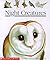 Night Creatures (First Discovery Books)