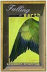 Falling to Earth: A Novel