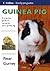Guinea Pig by Peter Gurney