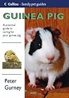 Guinea Pig Guinea Pig