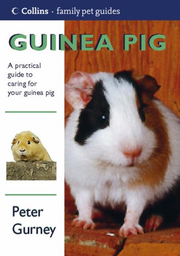 Guinea Pig (Paperback)