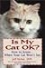 Is My Cat Ok? How to Know... When Your Cat Won't Say
