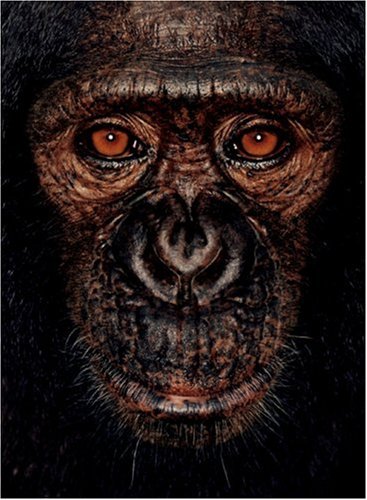 James & Other Apes (Hardcover)