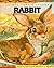 Animal Lore & Legend: Rabbit