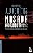 Masada (Caballo de Troya, #2)
