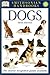 Dogs (Smithsonian Handbooks)