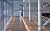 Groupe Frère CNP Headquarters by Philippe Samyn and Partners by Rodolphe; Pasnik, Mark El-K...