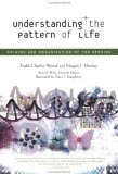 Understanding the Pattern of Life: Origins and Organization of the Species (Paperback)