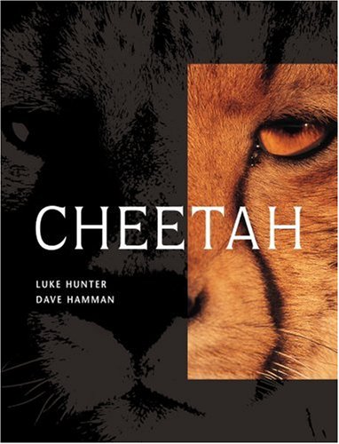 Cheetah (Hardcover)