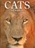 Cats of Africa