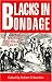 Blacks in Bondage: Letters of American Slaves