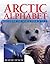 Arctic Alphabet: Exploring the North From A to Z