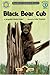 Black Bear Cub (Soundprints...