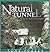 Natural Tunnel: Nature's Marvel in Stone