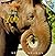 Feeding Time at the Zoo by Sherry Shahan