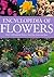 Encyclopedia of Flowers by Mary Moody