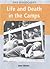 Life and Death in the Camps by Jane; Willoughby Susan Shuter