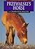 Przewalski's Horse (Learning About Horses)