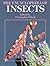 The Encyclopedia of Insects
