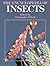 The Encyclopedia of Insects