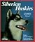 Siberian Huskies: Everythin...