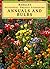 Annuals and Bulbs
