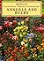 Annuals and Bulbs by Rob Proctor