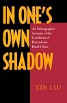 In One's Own Shadow: An Ethnographic Account of the Condition of Post-reform Rural China